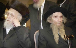 Top Rabbis, Khareidim European Mitnagdim
